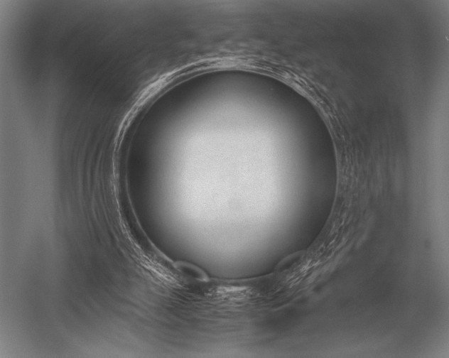 X0000052610055200507081857