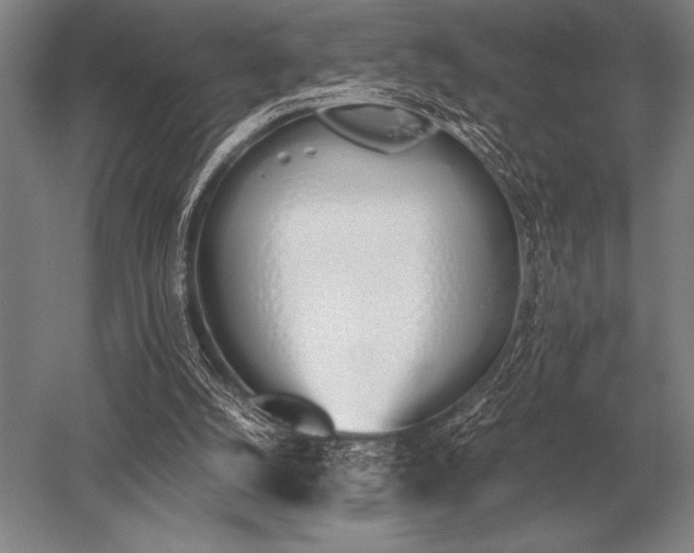 X0000052610056200507081857