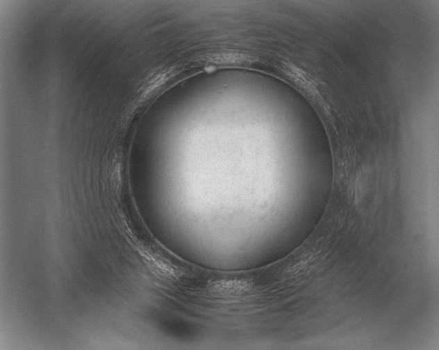 X0000052610063200507081857