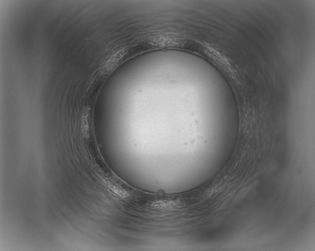 X0000052610065200507081857