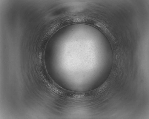 X0000052610066200507081857