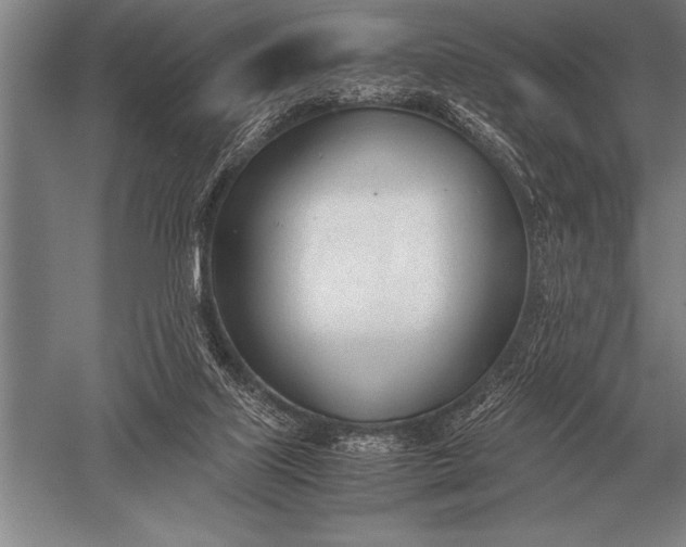 X0000052610067200507081857