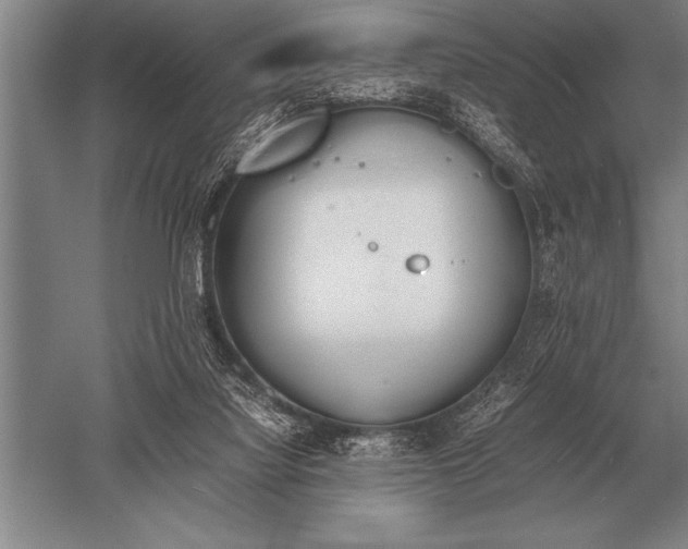 X0000052610068200507081857