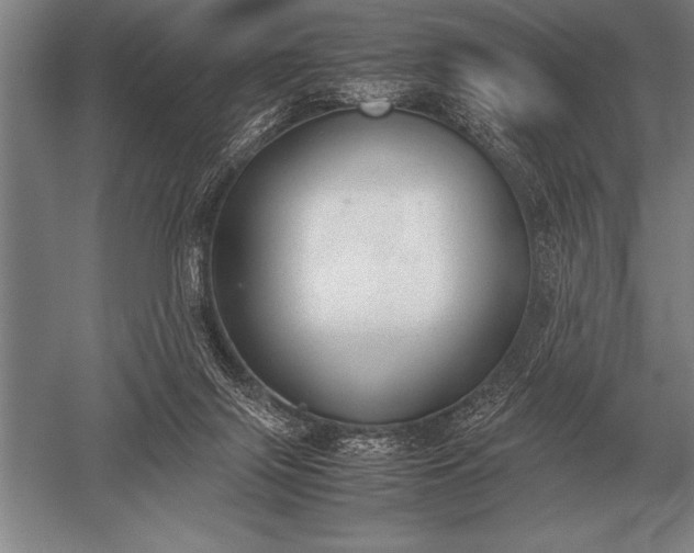 X0000052610071200507081857