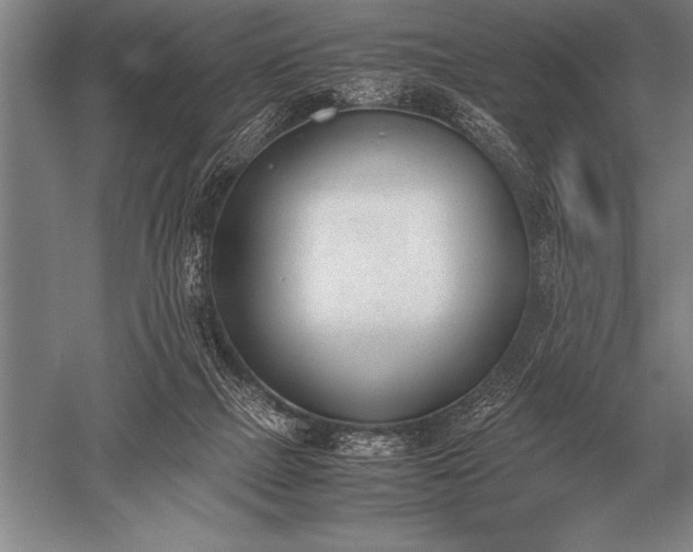 X0000052610073200507081857