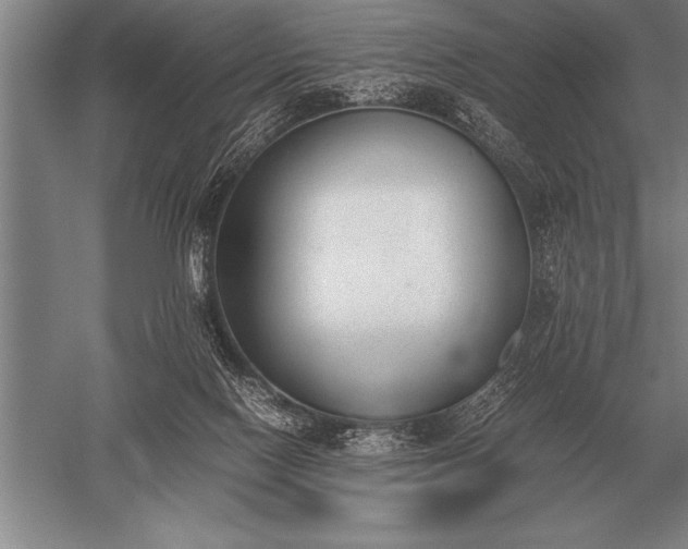 X0000052610074200507081857