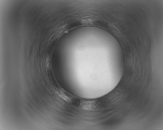 X0000052610081200507081857