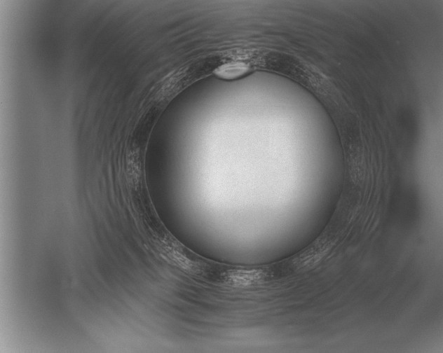 X0000052610085200507081857