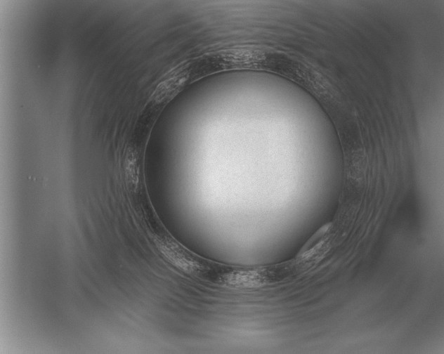 X0000052610086200507081857