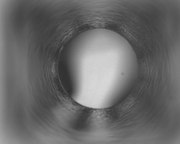 X0000052610088200507081857