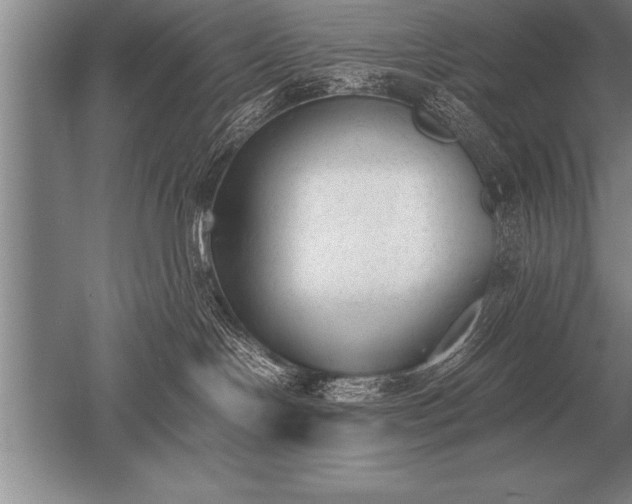 X0000052610094200507081858