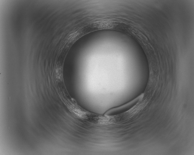 X0000052610096200507081858