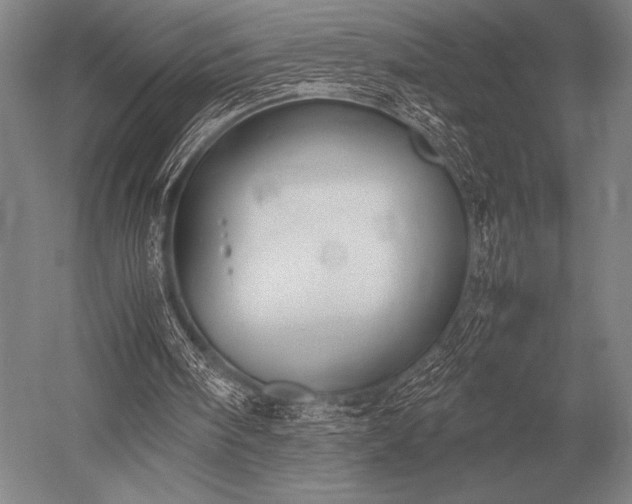 X0000052610098200507081857