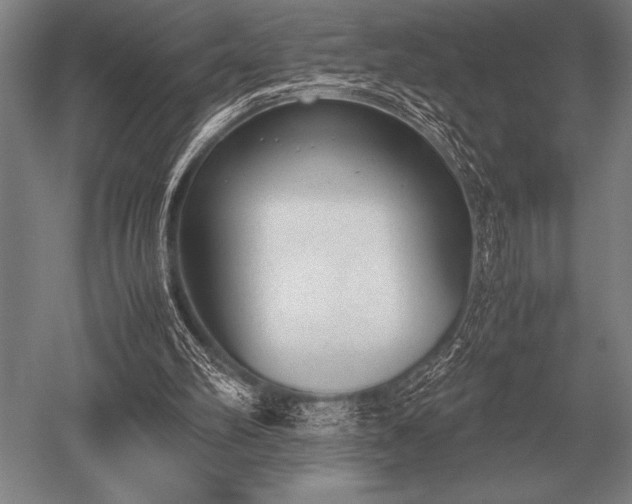 X0000052610102200507081857