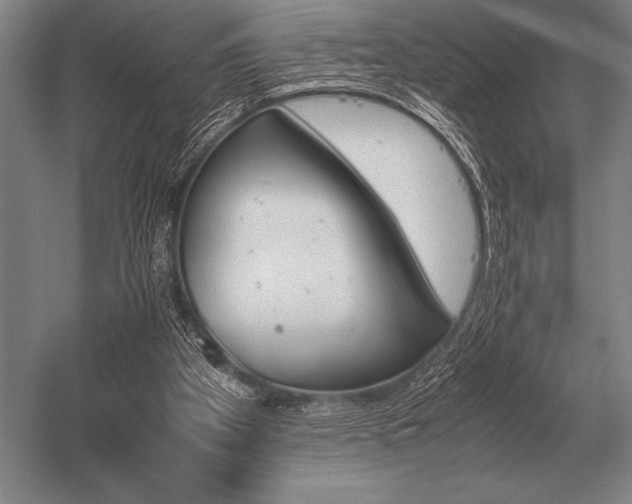 X0000052610105200507081857