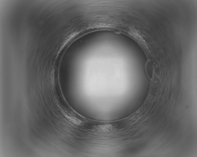 X0000052610108200507081857