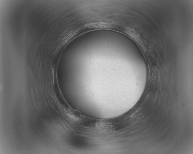 X0000052610109200507081857