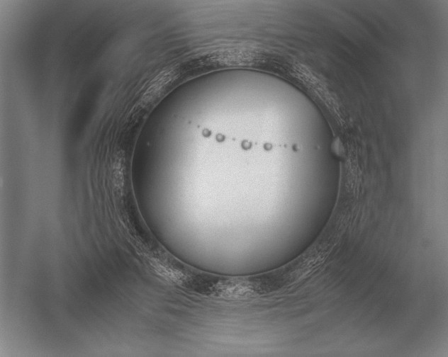 X0000052610113200507081856