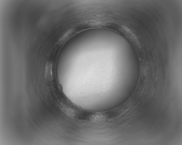 X0000052610115200507081856