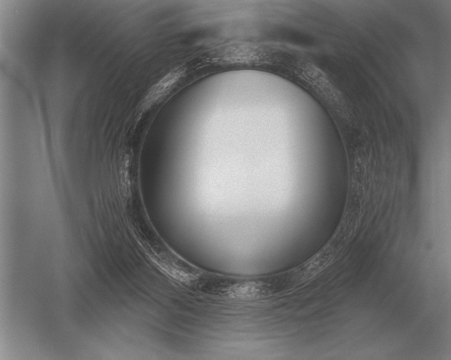 X0000052610116200507081856