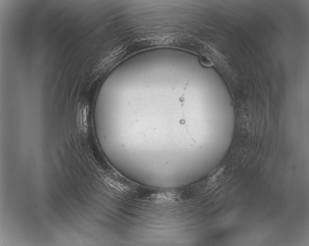 X0000052610118200507081856