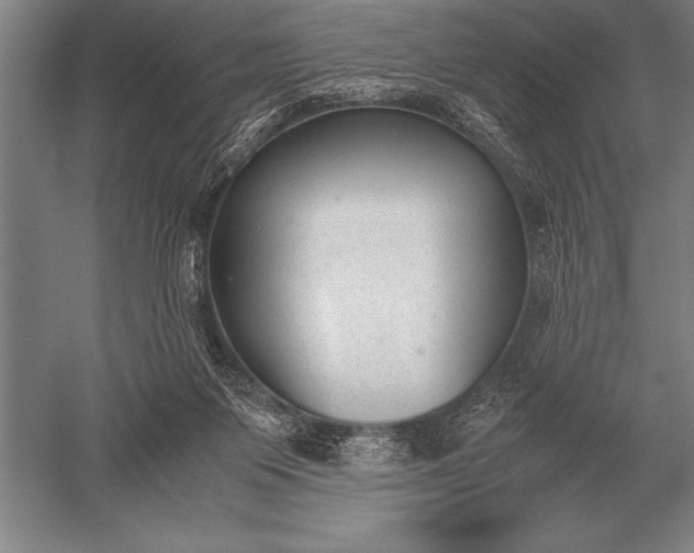 X0000052610119200507081856