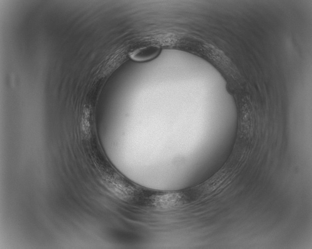 X0000052610122200507081856