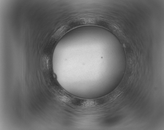 X0000052610123200507081856