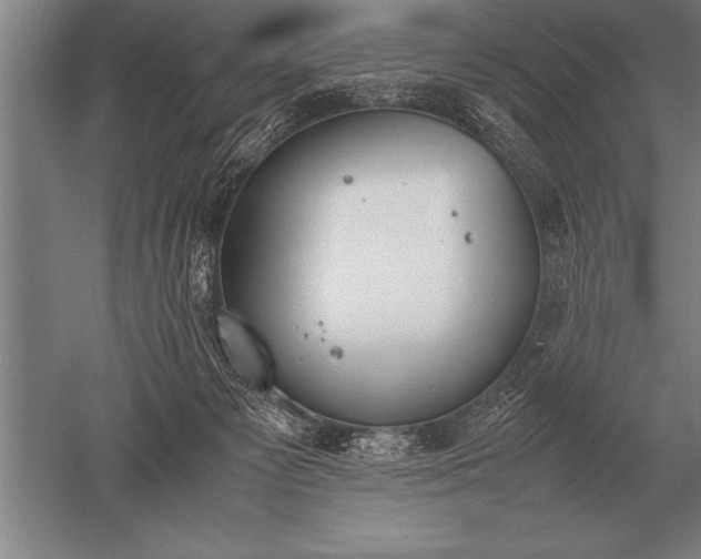 X0000052610125200507081856