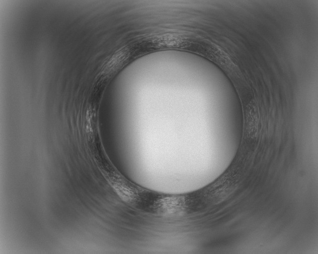 X0000052610126200507081856