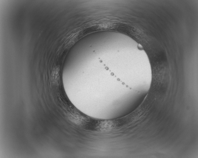 X0000052610127200507081856