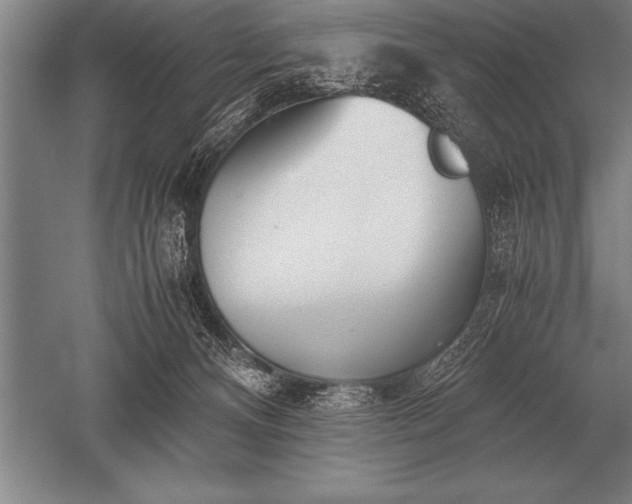 X0000052610128200507081856