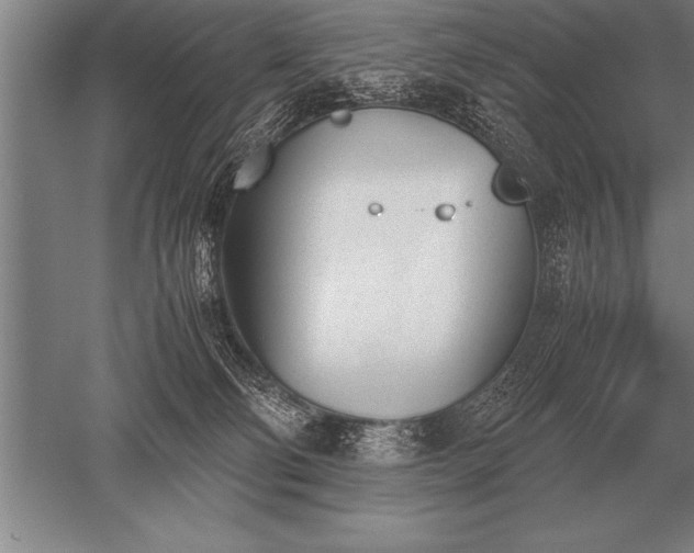 X0000052610130200507081856