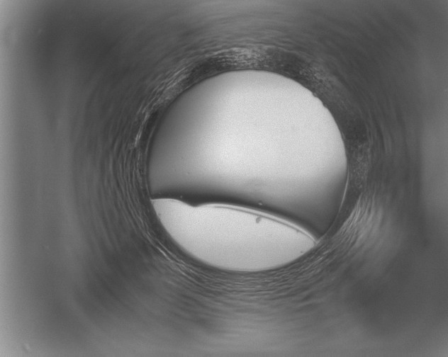 X0000052610131200507081856