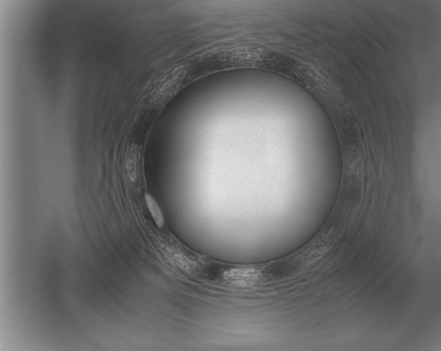 X0000052610133200507081856