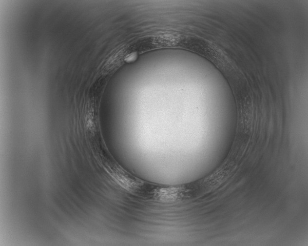 X0000052610134200507081856