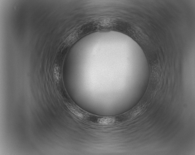 X0000052610135200507081856