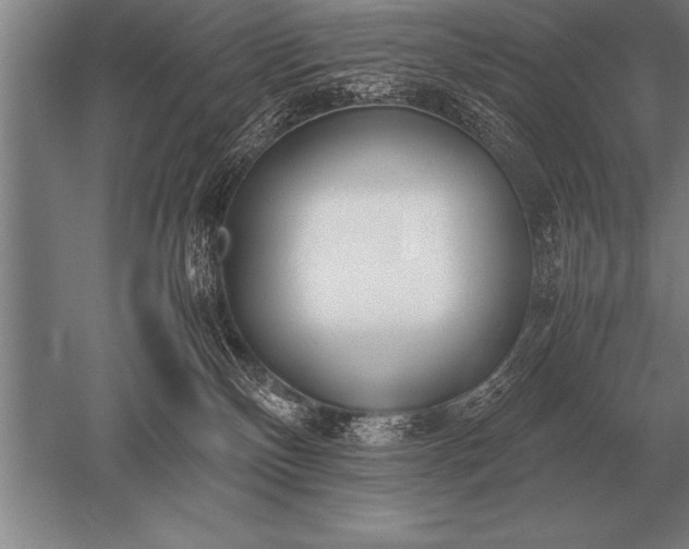 X0000052610136200507081856