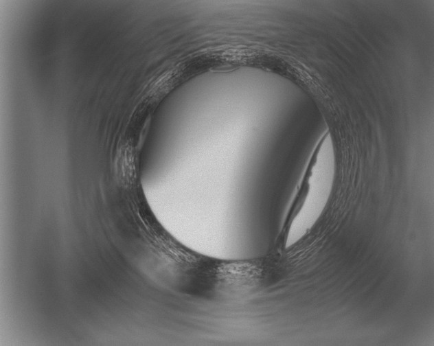 X0000052610137200507081856