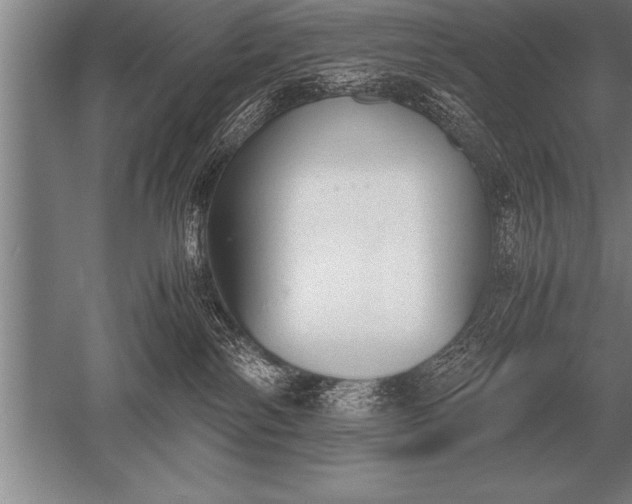 X0000052610138200507081856