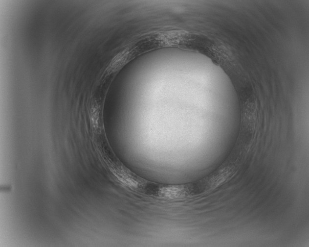 X0000052610139200507081856