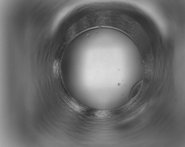 X0000052610142200507081856