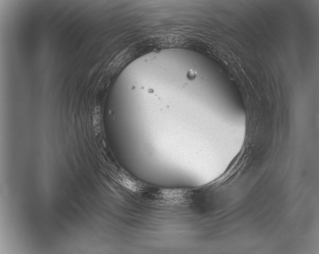 X0000052610144200507081856