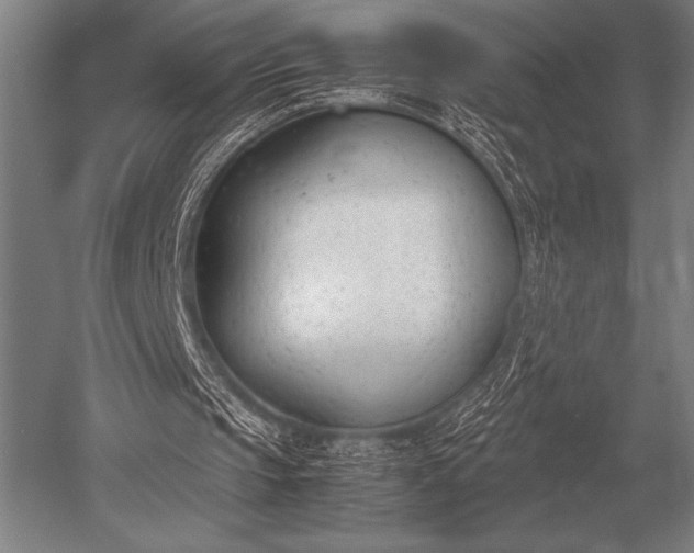 X0000052610145200507081855