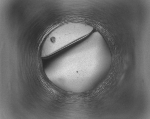 X0000052610146200507081855