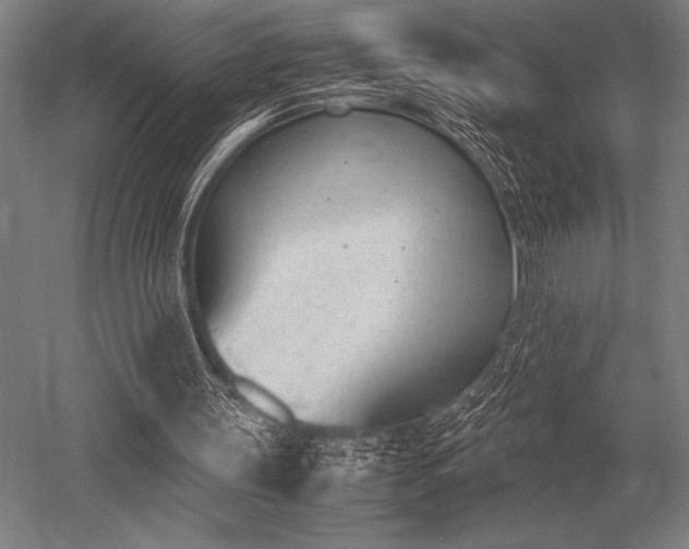 X0000052610147200507081855