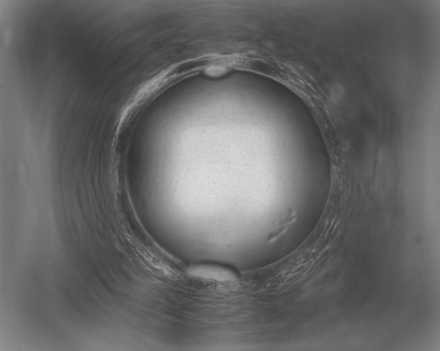 X0000052610149200507081855