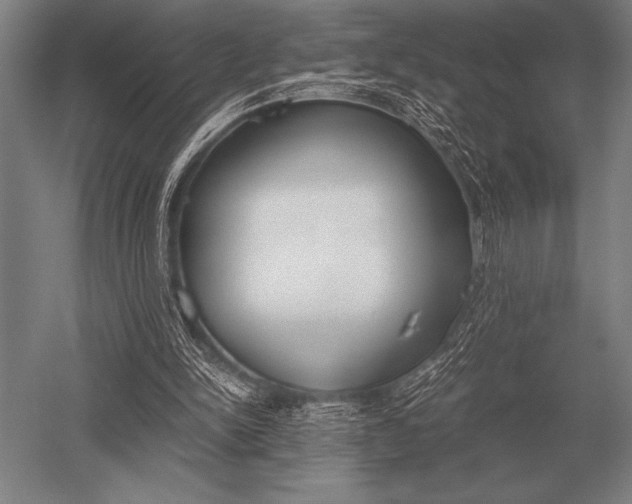 X0000052610150200507081855