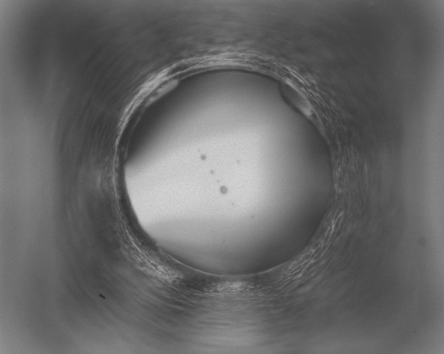 X0000052610152200507081855