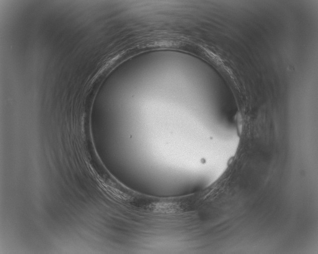 X0000052610154200507081855